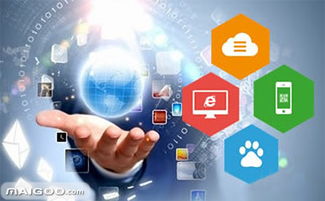 品牌介紹 龍采網站建設 龍采軟件開發